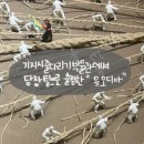 기지시줄다리기박물관 | 유오디아의 플리마켓 belong to 당장_당진 기지시 줄다리기 박물관