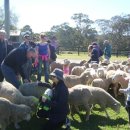 토부농장 이미지