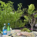 동부레기 막창 이미지