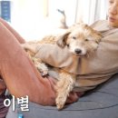 이상순농장 이미지