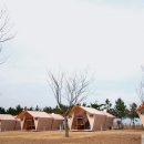 고창갯벌오토캠핑&글램핑 이미지