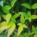 GS25 구로미성점 이미지