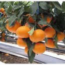 정우네농장 이미지