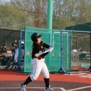 장항리틀야구장 이미지