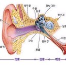 조은소리보청기서울지사 이미지