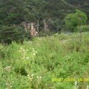 속리산계곡펜션 이미지