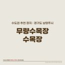 남양주 수목장 무량사에서 운영하는 사찰 추모공원