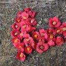 옥포대첩기념공원 이미지