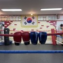김태식 복싱클럽 이미지
