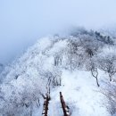 제105차 일산2본동 산악회 평창 계방산 정기산행 안내 이미지