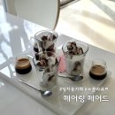 백현로144번길 | 정자역 카페거리 맛집 분위기 좋은 페어링 페어드, 쇼콜라 큐브 꼭 잡셔봐