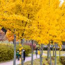 부평생태습지[부평-5] 이미지