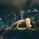 신흥화장품 이미지