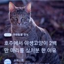 #️⃣수면중 호흡곤란이나 숨멈춤이 발생하는 수면중 무호흡증[수면중 호흡부전 이 나타나면] 이미지