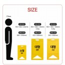 리플렉스 A 이미지