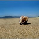 안면도바다풍경 이미지