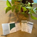 파인빌리지관광농원 | 고창 상하농원 숙소 파머스빌리지 테라스룸 숙박후기