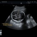 한마음자동차병원 이미지