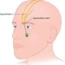 명작한의원 이미지