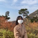 안 물어보셨지만 무엇이든 답해드립니다