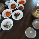 감나무골 | 청도 소싸움 경기장 맛집 내돈내산 아쉬운 솔직후기 | 감나무골식당