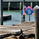 국제전자센터 이미지