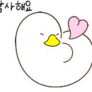 소소화개