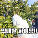 현수농장 이미지