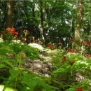 애월농장 이미지