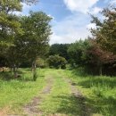 노형미리내공원 이미지