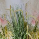 노루땅농장 이미지