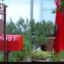 안의꽃사랑 이미지