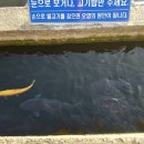 임진강리조트 이미지