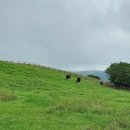 고산목장2 이미지