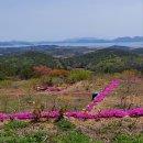 전라남도 해남군 토지 매매 이미지