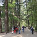 기차여행 자알 다녀왔습니다^^ 이미지