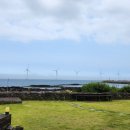 클랭블루 신창 이미지