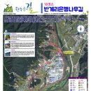 원주굽이길 원7코스 반계리은행나무길 | 원주굽이길 18코스 반계리은행나무길 | 여름 트레킹
