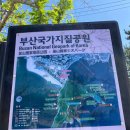 다대포원조해물칼국수 이미지