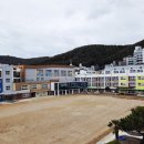 용호초등학교 부산일보