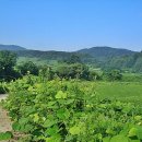 고향풍경 이미지