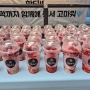 듀피에딸바보트럭