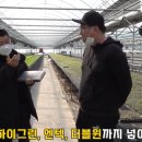 풍성농약사 이미지