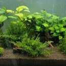 신용 아쿠아 수족관 이미지