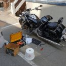 로드스타 이미지