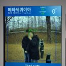 메타세콰이어길 | 담양 메타세콰이어길 겨울 산책 후기