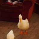 하츠베이커리 이미지