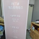PET#개스트하우스 이미지