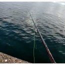 방파제 낚시 편의점 이미지