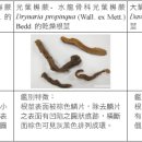 중국중화한의원 이미지